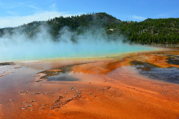 The Rut 2016 - Geyser dans Montana