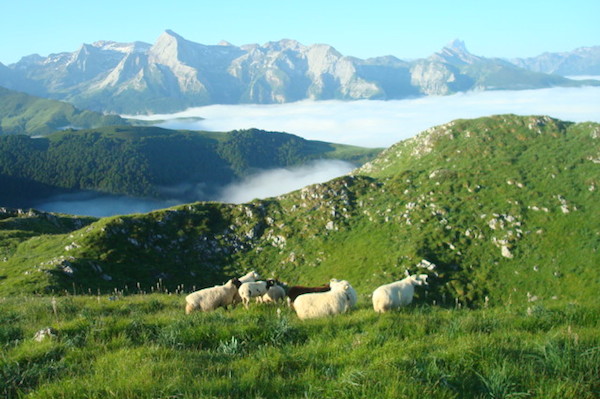 Grand Trail de la Vallée d'Ossau 2014
