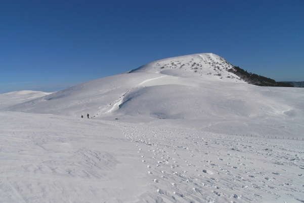 Trail Hivernal sancy Mont Dore 2014