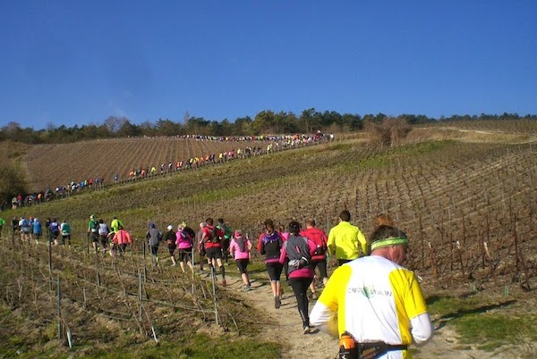 trail de la montagne de Reims 2014