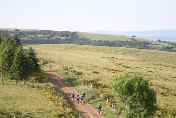 Aubrac 2014
