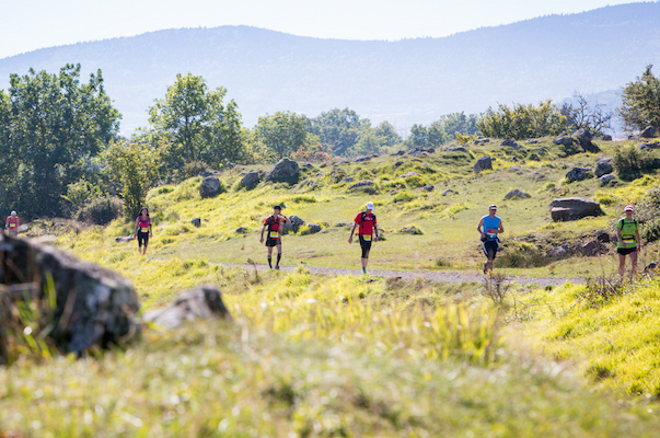 Grand Trail du Saint Jacques 2015