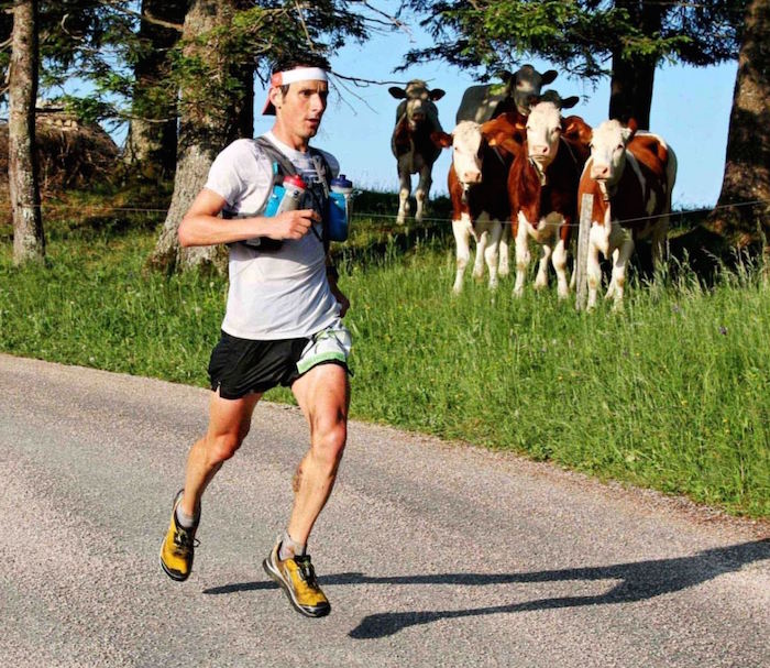 Thomas Lorblanchet s'offre la Transju'Trail 2015 1 Thomas Lorblanchet vainqueur 78 km photo Goran Mojicevic Passion Trail