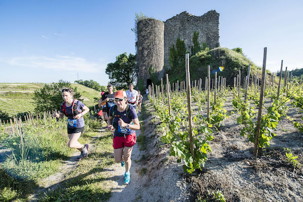 Duo de l'Hermitage 2016 - Cyril Crespeau