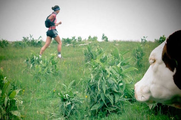 Le Trail du Mont d'Or