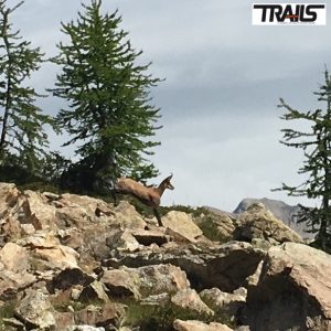 Grand Raid des Pyrenees