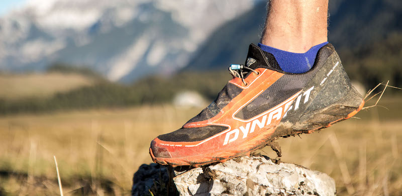 Test Dynafit Feline Pro Up 2019