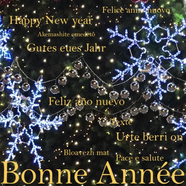 RÃ©sultat de recherche d'images pour "bonne annÃ©e 2019"