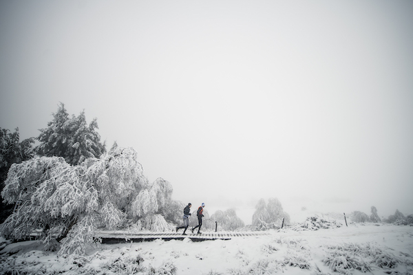 Trail hivernal Oxsitis Sancy Mt-Dore 5 TRAIL HIVERNAL OXSITIS SANCY MONT DORE 2019