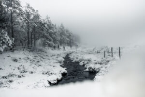 Trail hivernal Oxsitis Sancy Mt-Dore 3 TRAIL HIVERNAL OXSITIS SANCY MONT DORE 2019
