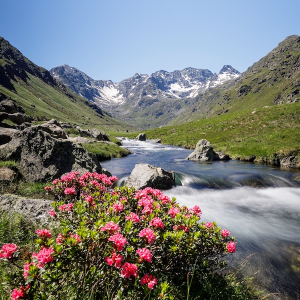 ariege