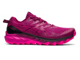 Asics - Gel-Trabuco 10 - Outdoor Edtions