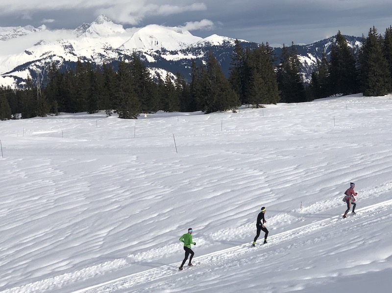 Programme des trails blancs, trails sur neige 2023