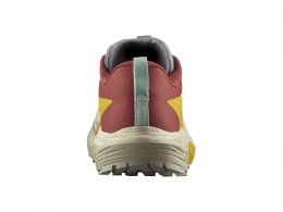 Salomon - Sense Ride 5 - Outdoor Edtions