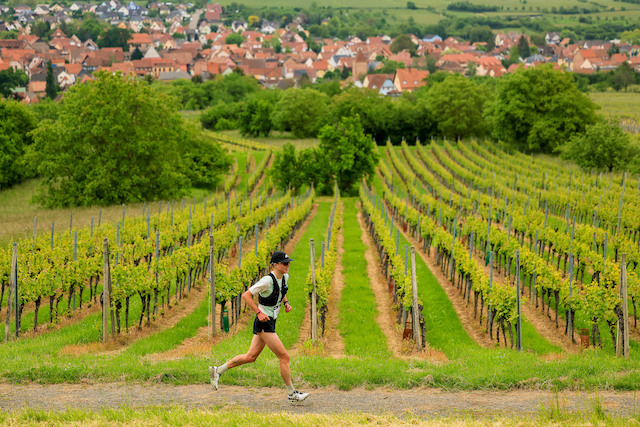 Trail Alsace Grand Est by UTMB®