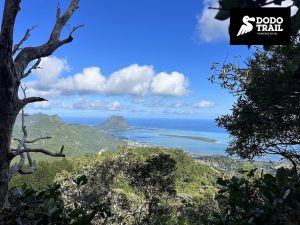 Dodo-trail-2023-Fred-Bousseau